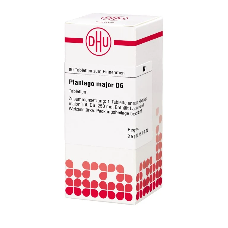 Plantago major D6 DHU Tabletten, 80 St. Tabletten