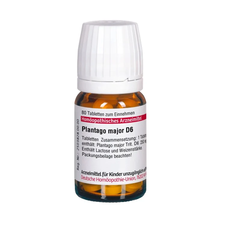 Plantago major D6 DHU Tabletten, 80 St. Tabletten