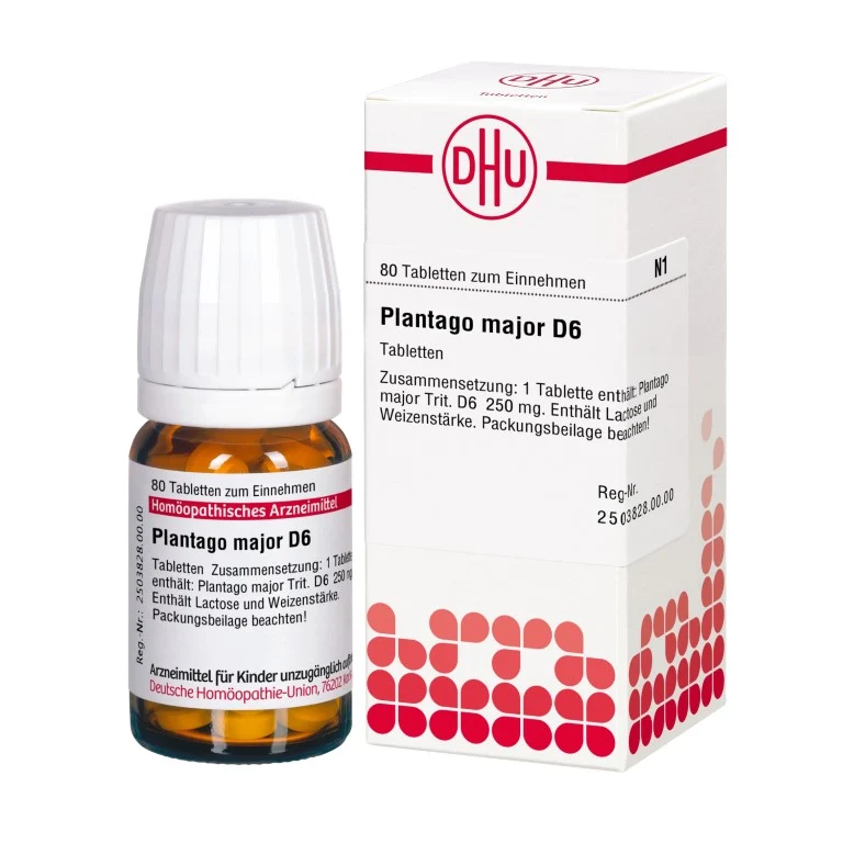 Plantago major D6 DHU Tabletten, 80 St. Tabletten