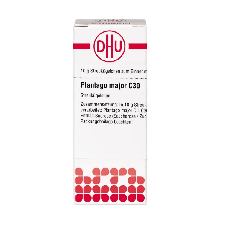 Plantago major C30 DHU Globuli, 10 g Globuli