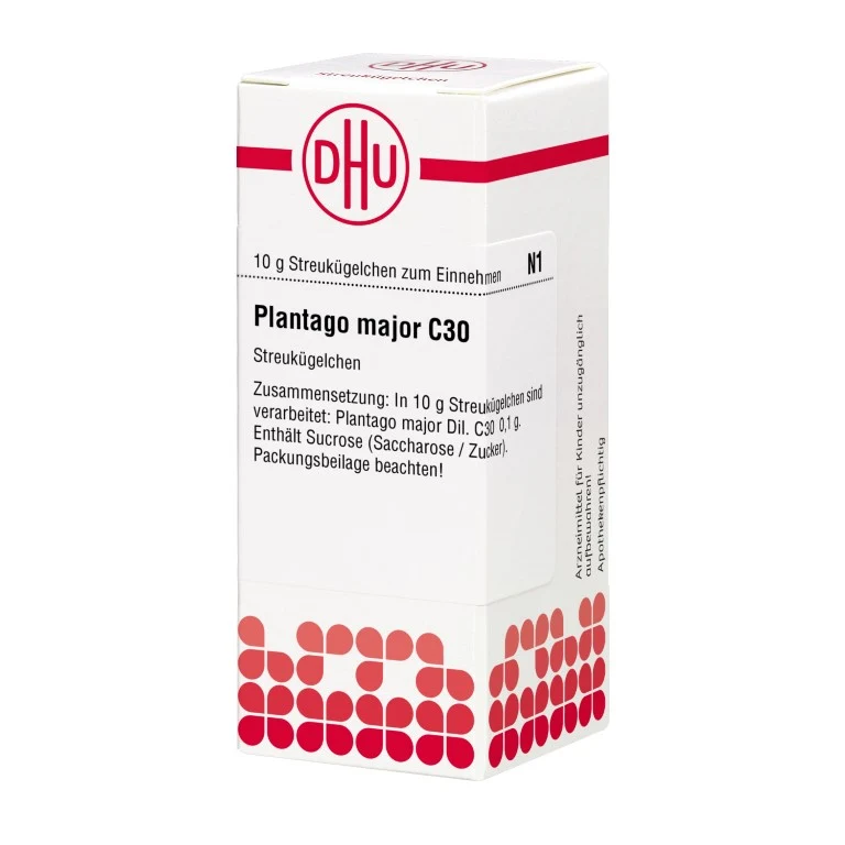 Plantago major C30 DHU Globuli, 10 g Globuli