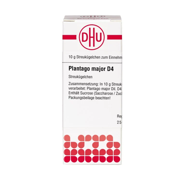 Plantago major D4 DHU Globuli, 10 g Globuli