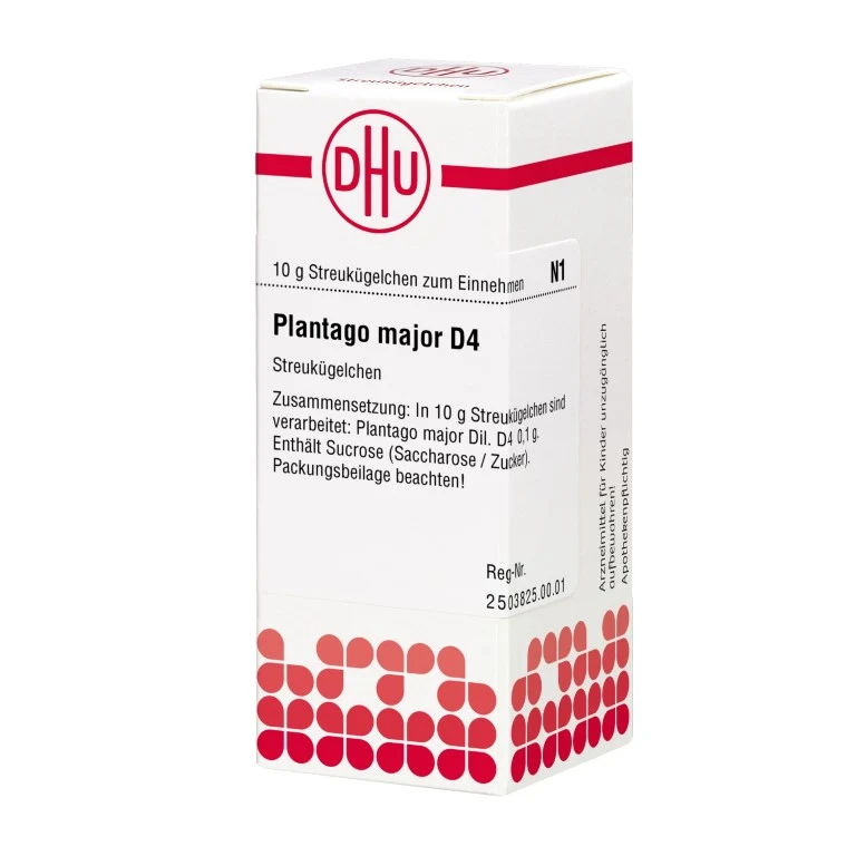 Plantago major D4 DHU Globuli, 10 g Globuli