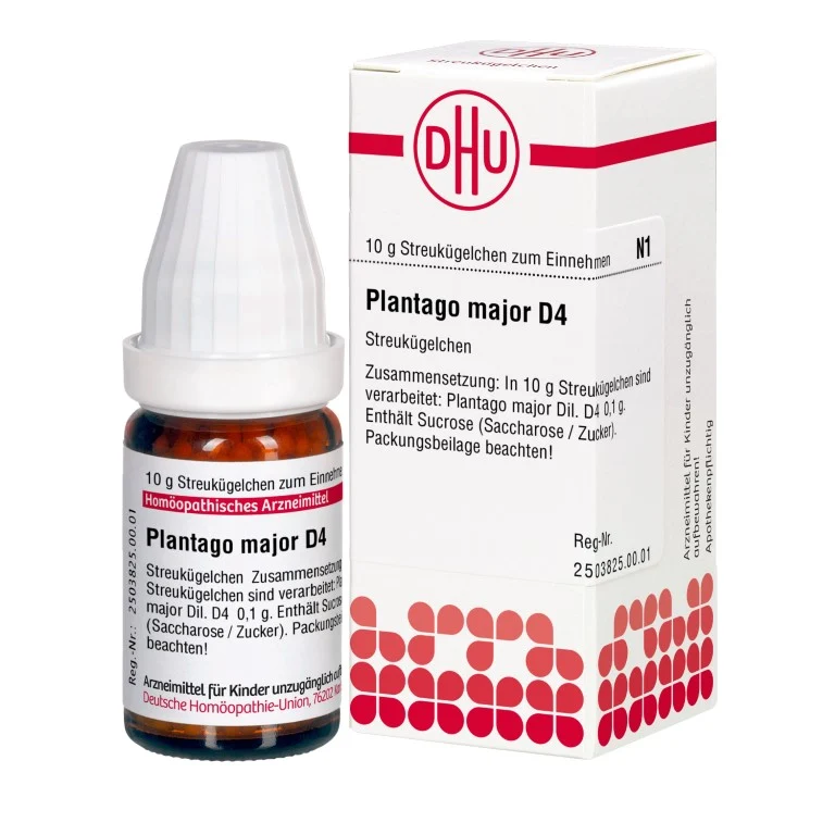 Plantago major D4 DHU Globuli, 10 g Globuli