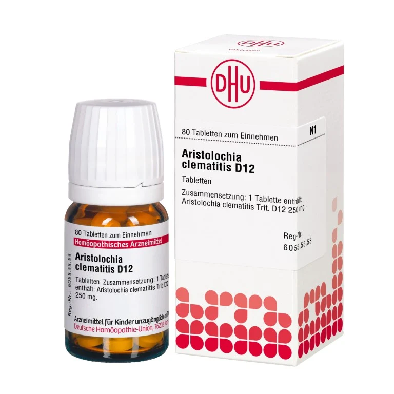 Aristolochia clematitis D12 DHU Tabletten, 80 St. Tabletten