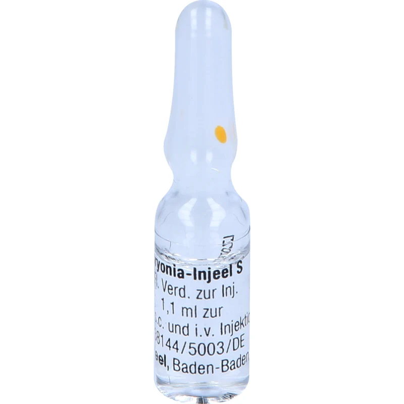 Bryonia-Injeel S Inj.-Lsg., 10 St AMP