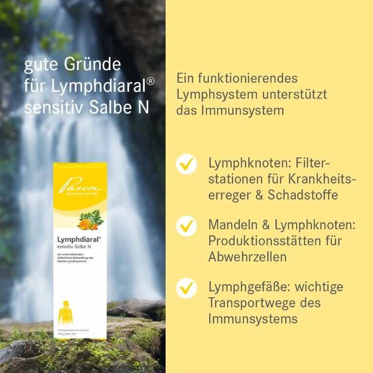 Lymphdiaral sensitiv Salbe N, 100 g Salbe