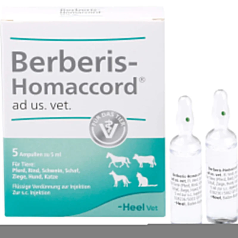 Berberis-Homaccord ad us. vet. Ampullen, 5 St. Ampullen
