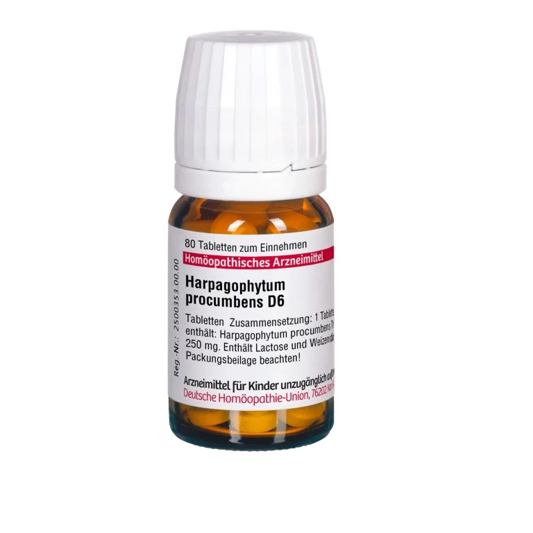 Harpagophytum procumbens D6 DHU Tabletten, 80 St. Tabletten