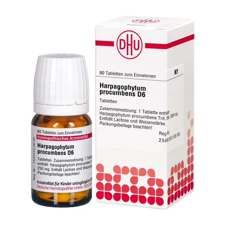 Harpagophytum procumbens D6 DHU Tabletten, 80 St. Tabletten