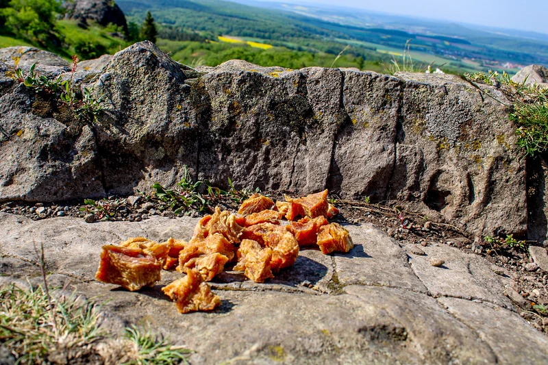 Hähnchen-Fleisch-Nuggets