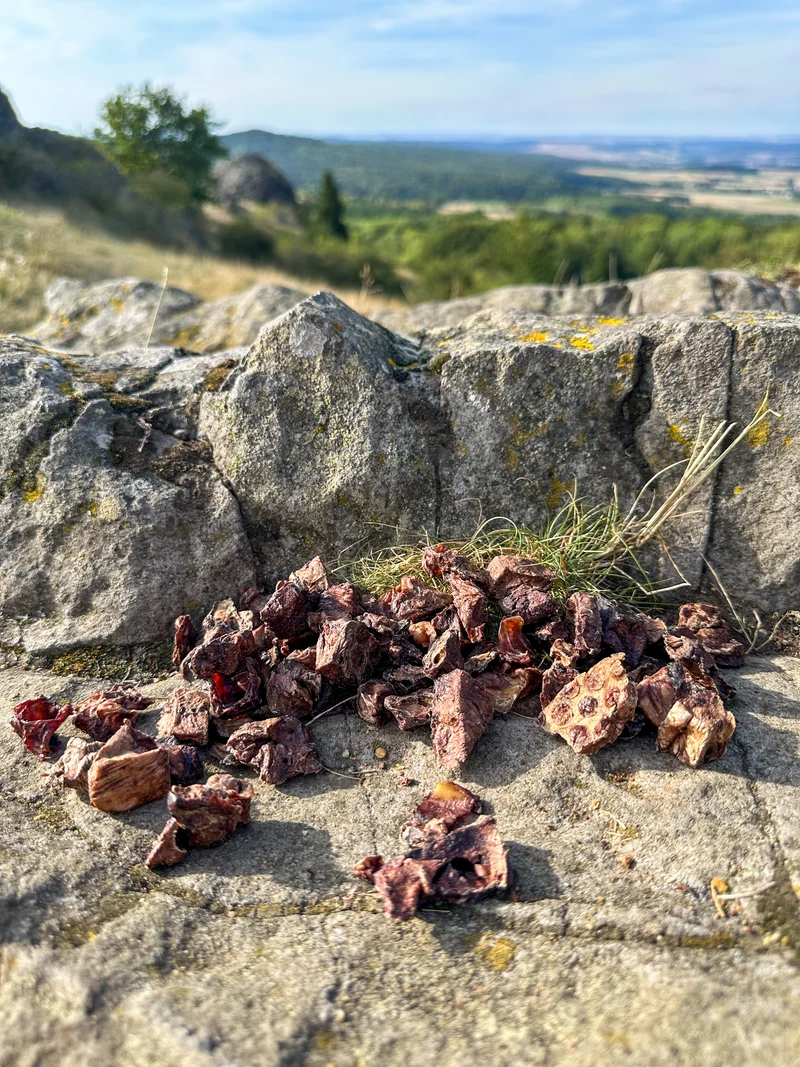 Lammlungen Würfel