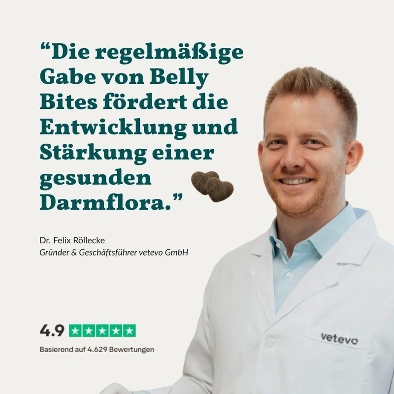 Vetevo Belly Bites 2.0 – Verdauungs-Snacks für Hunde mit Prä-, Pro- & Postbiotika, Kürbis & Algen | Für ein glückliches Hundebäuchlein