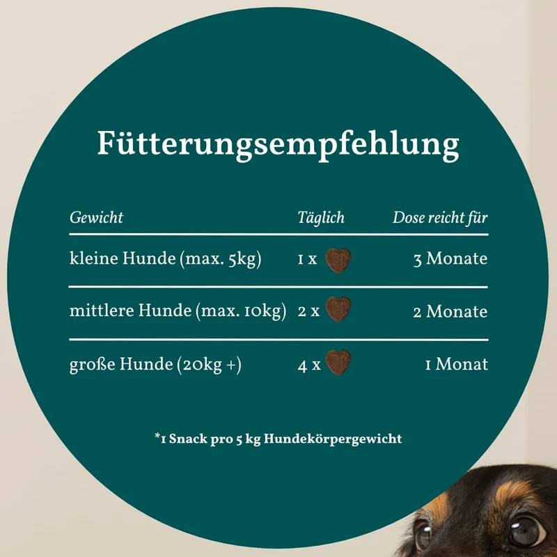 Vetevo Belly Bites 2.0 – Verdauungs-Snacks für Hunde mit Prä-, Pro- & Postbiotika, Kürbis & Algen | Für ein glückliches Hundebäuchlein