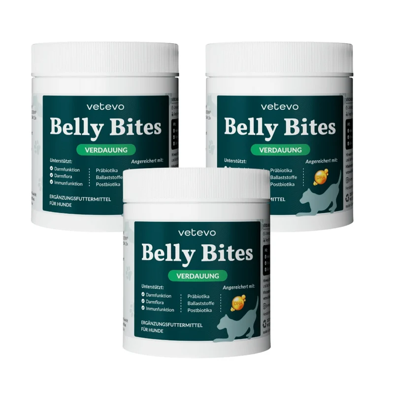 Vetevo Belly Bites 2.0 – Verdauungs-Snacks für Hunde mit Prä-, Pro- & Postbiotika, Kürbis & Algen | Für ein glückliches Hundebäuchlein
