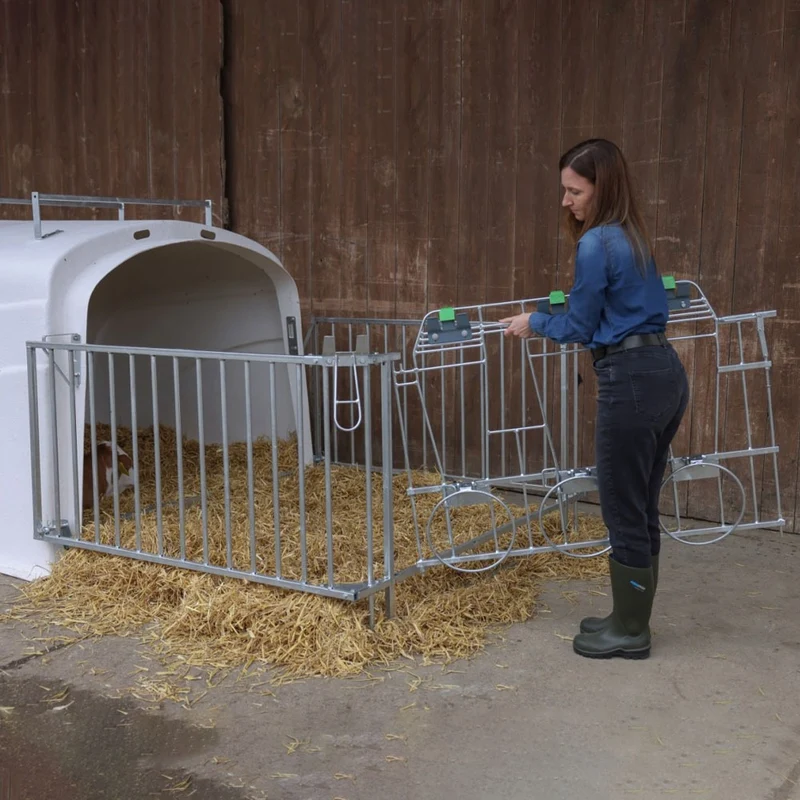 CalfHouse Premium DUO con recinzione