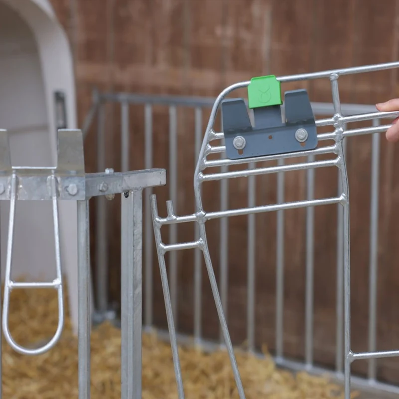 CalfHouse Premium DUO con recinzione