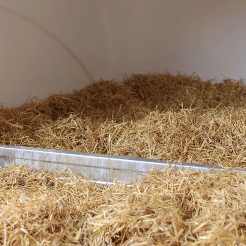 CalfHouse Premium DUO con recinzione
