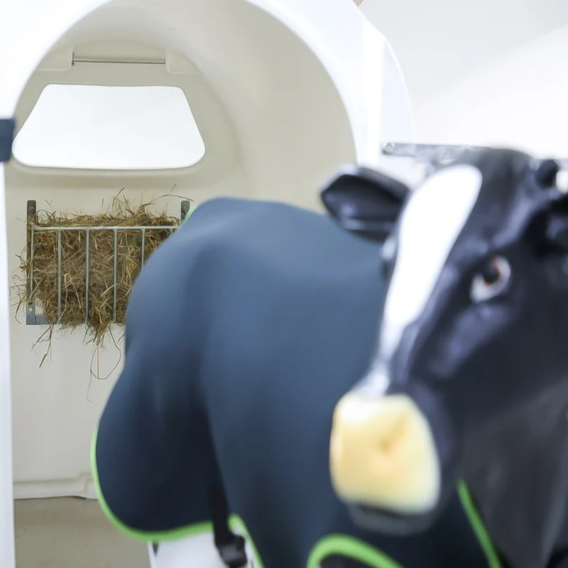 Rastrelliera Metallo zincato da fieno per cavalli