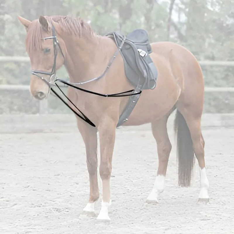 Redini a Triangolo X-Line Nere per Cavalli