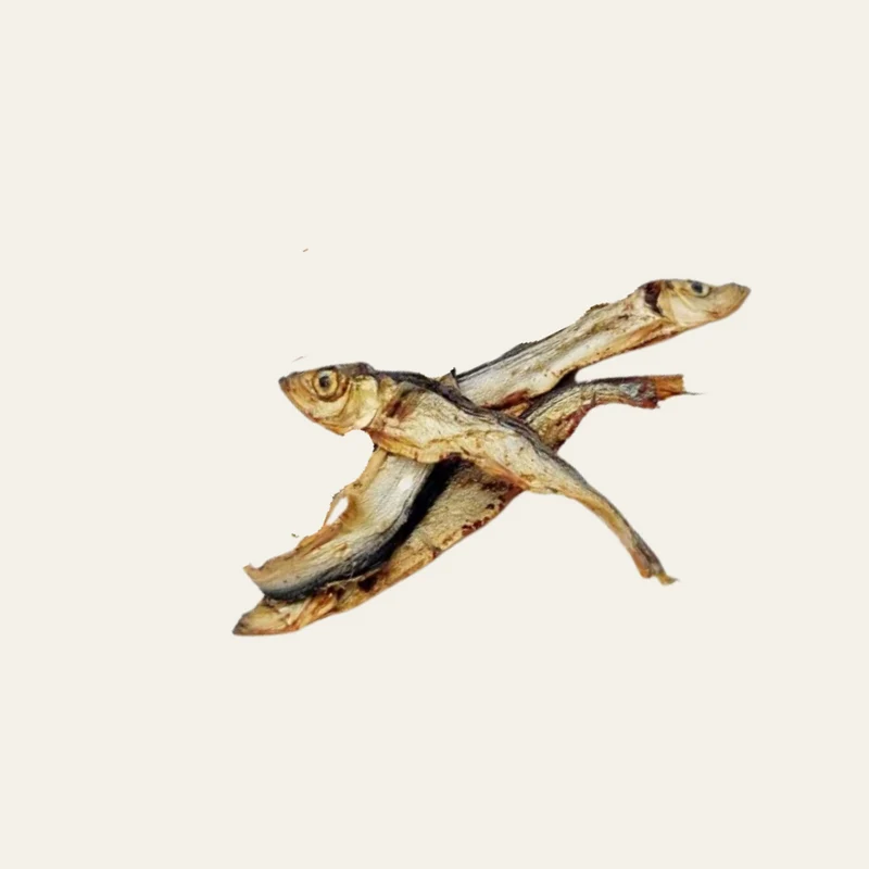 Sprotten – 100% Fisch-Kauartikel für Hunde | proteinreich, natürlich & perfekt fürs Training