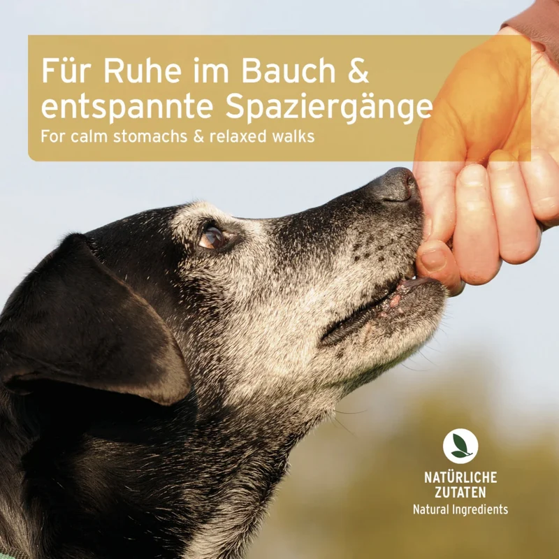 AniForte Gras- & Kotfresser Snack – Natürliche Kräutermischung gegen Kotfressen & Grasfressen bei Hunden