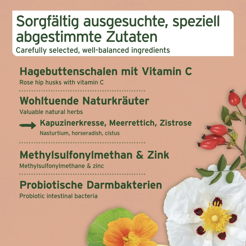 AniForte Immun-Boost Snack für Hunde – Natürlicher Funktionssnack zur Stärkung der Abwehrkräfte & Immunsystem