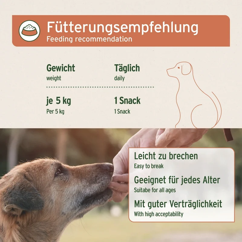 AniForte Immun-Boost Snack für Hunde – Natürlicher Funktionssnack zur Stärkung der Abwehrkräfte & Immunsystem