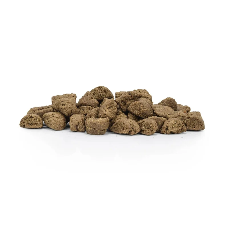 AniForte Pure Nature Premium-Trockenfutter mit Huhn – glutenfrei, leicht verdaulich & natürlich für ausgewachsene & ältere Hunde