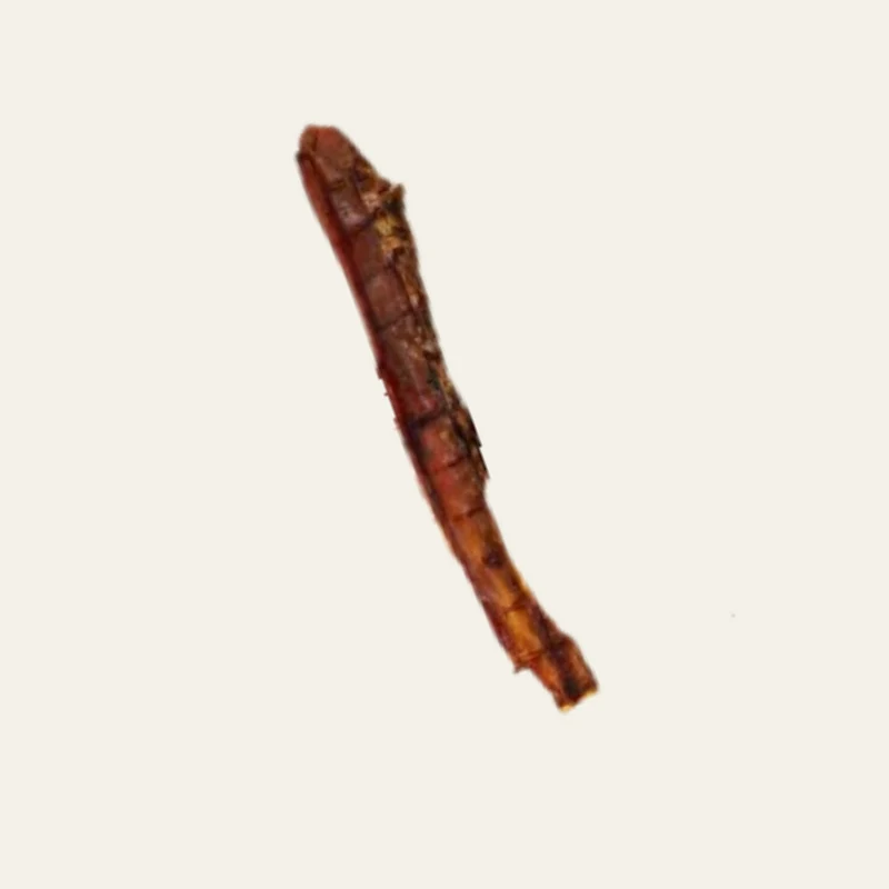 Pferde-Aorta (lang) – proteinreicher Kauartikel 15–25 cm