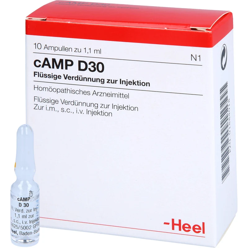Heel cAMP D30 flüssige Verdünnung, 10 St. Ampullen