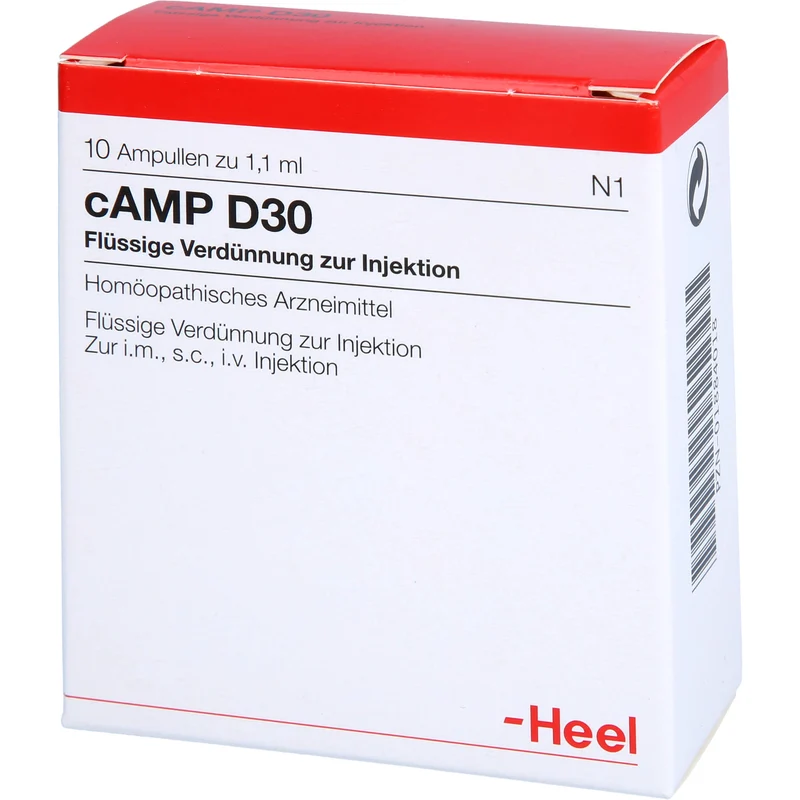 Heel cAMP D30 flüssige Verdünnung, 10 St. Ampullen