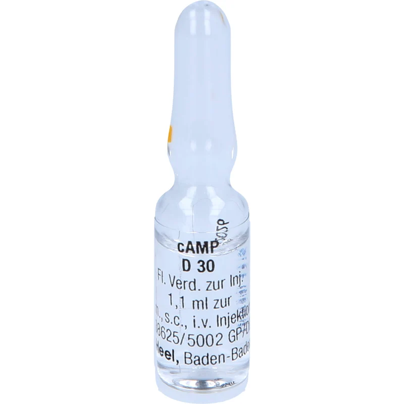 Heel cAMP D30 flüssige Verdünnung, 10 St. Ampullen