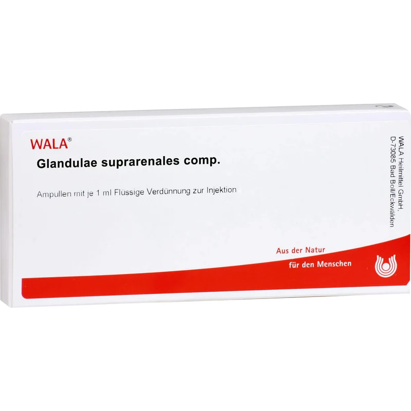 Glandulae Supraren. comp. Wala Ampullen, 10 St. Ampullen