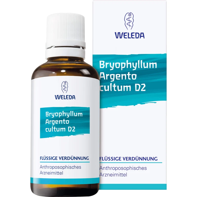 Bryophyllum Argento cultum Rh D3 WELEDA Dil., 20 ml Lösung
