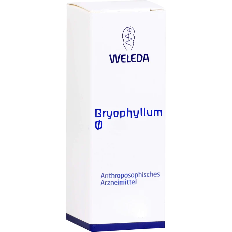 WELEDA Bryophyllum Urtinktur, 50 ml Lösung
