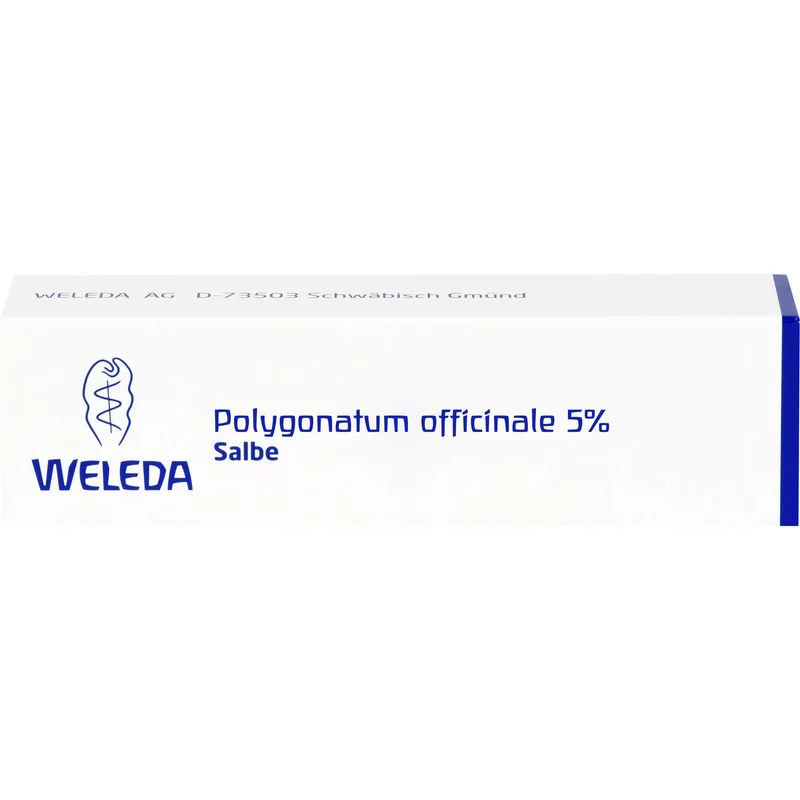 Polygonatum officinale 5% WELEDA Salbe, 25 g Salbe
