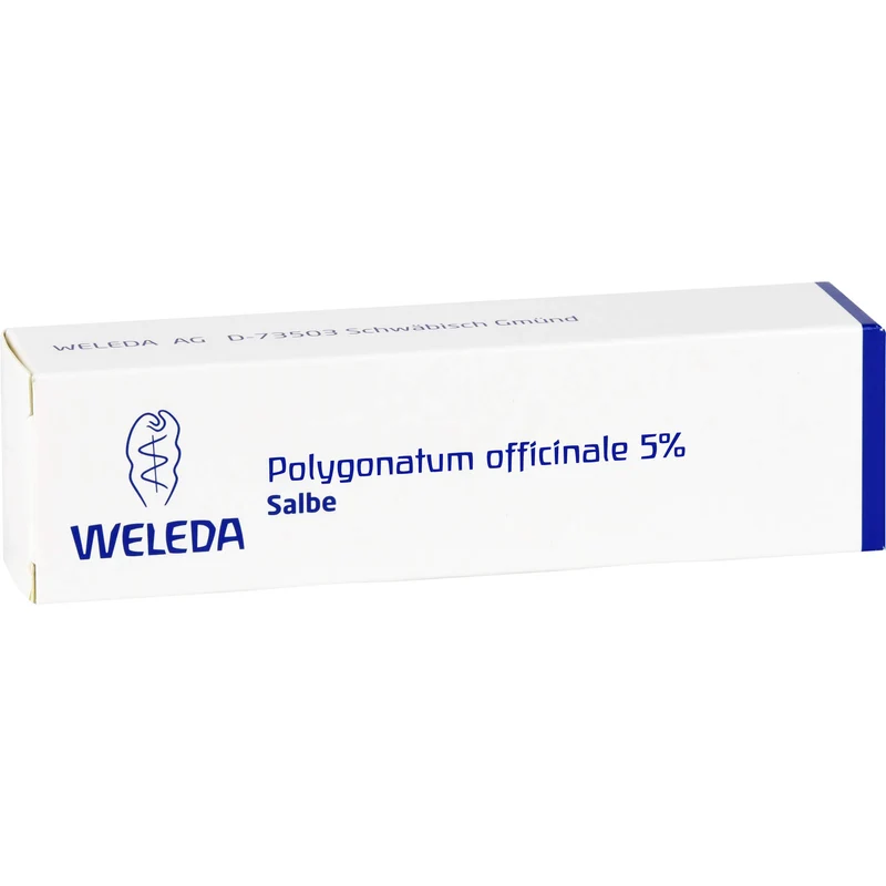 Polygonatum officinale 5% WELEDA Salbe, 25 g Salbe
