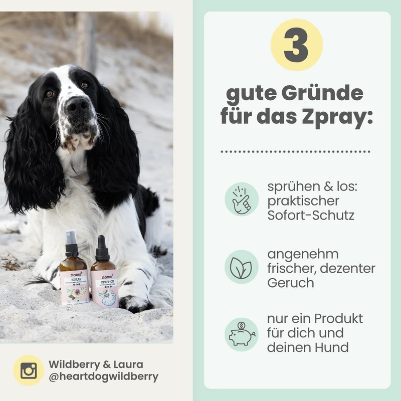 Zpray für Hunde und Menschen gegen Zecken, Milben [Jahresvorrat]