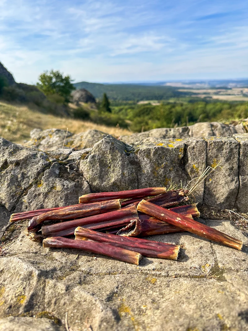 Rindersticks
