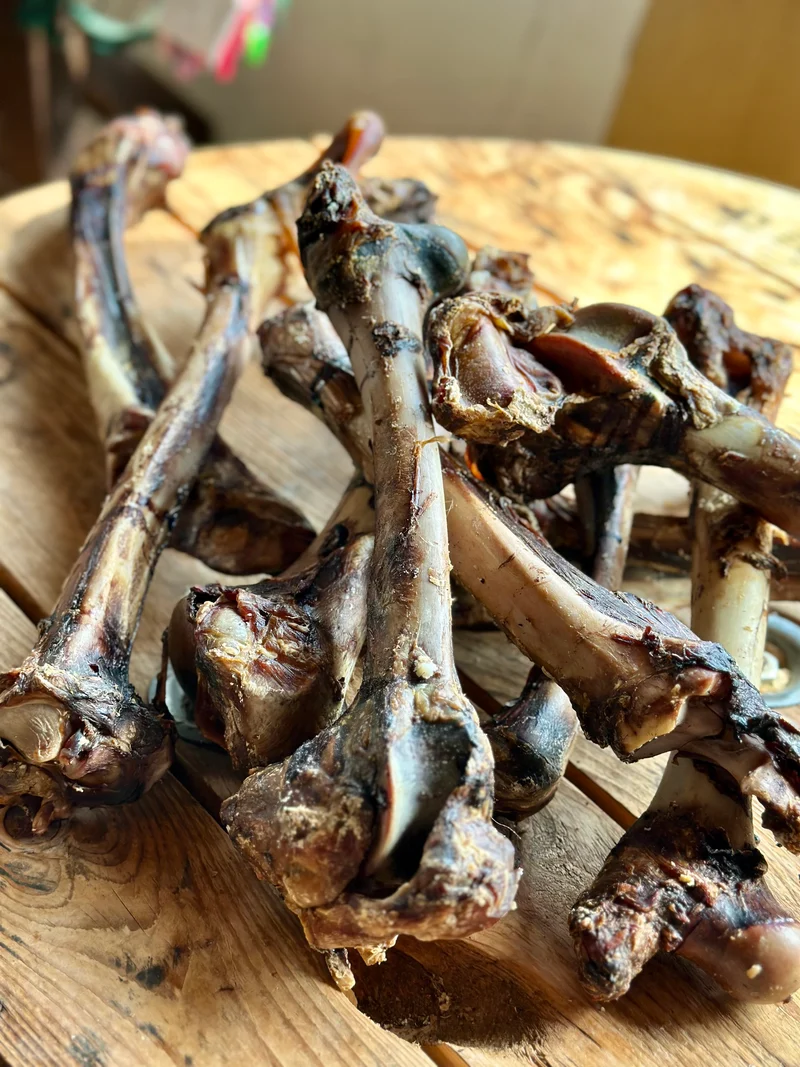 Hirschknochen - verschiedene Größen