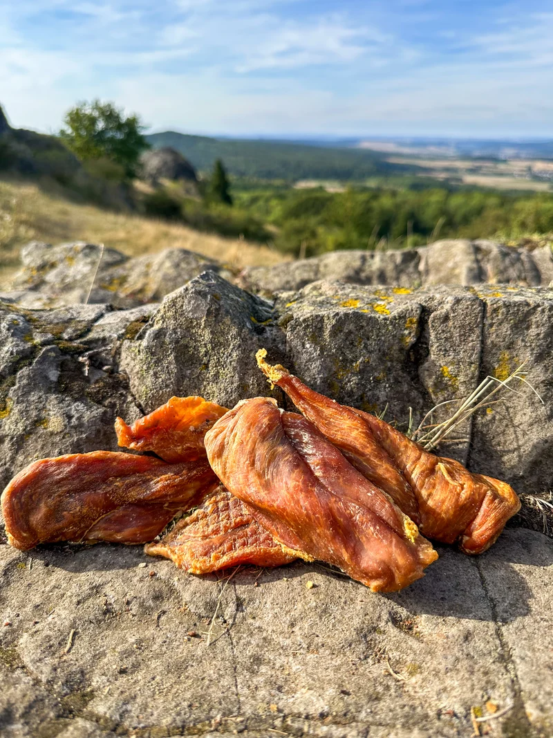 Hähnchen-Filet