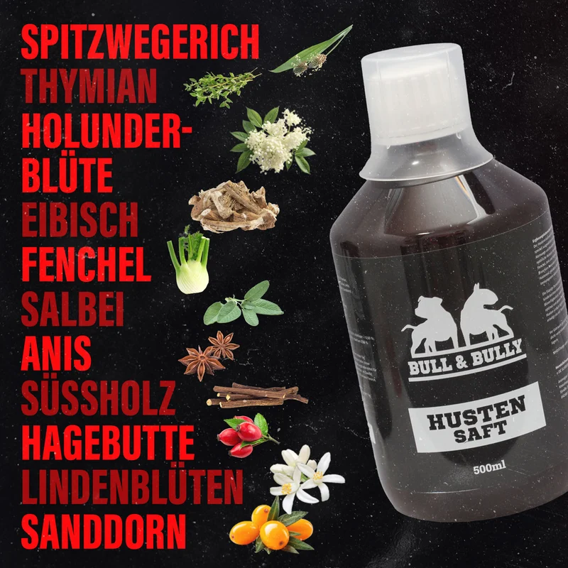 Hustensaft für Hunde