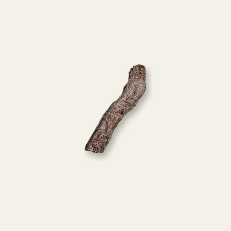 Ochsenziemer 12 cm – naturbelassen, gefriergetrocknet