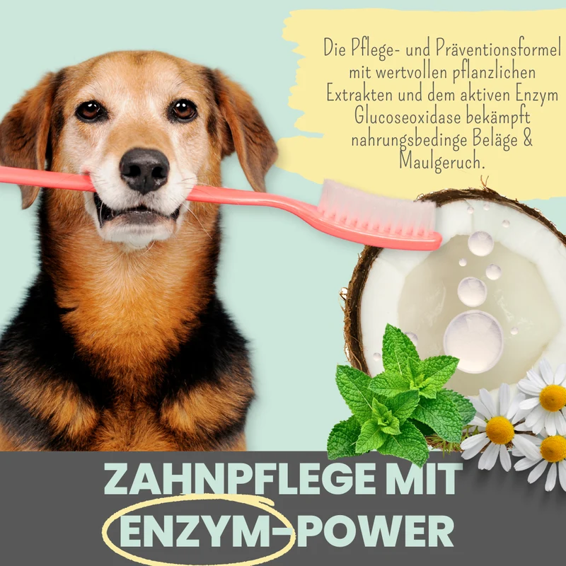 Enzymodent: Enzymatische Zahnpasta für Hunde mit natürlicher Pflege- und Präventionsformel