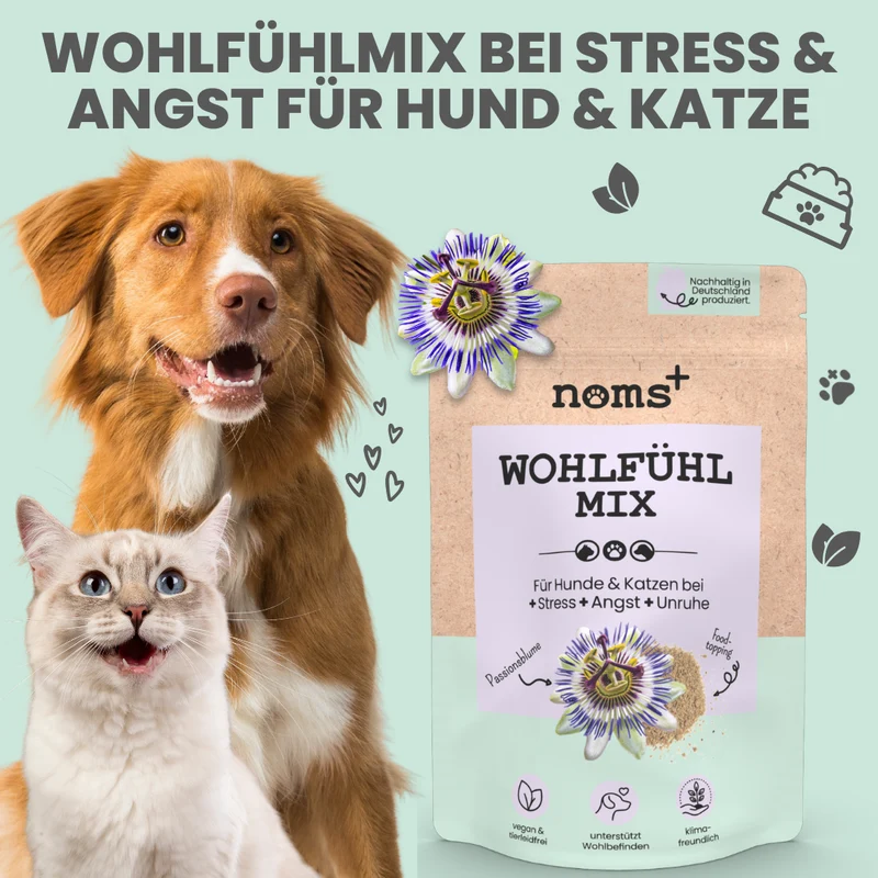 Wohlfühlmix für Hunde und Katzen – mit Baldrian, Passionsblume & Johanniskraut