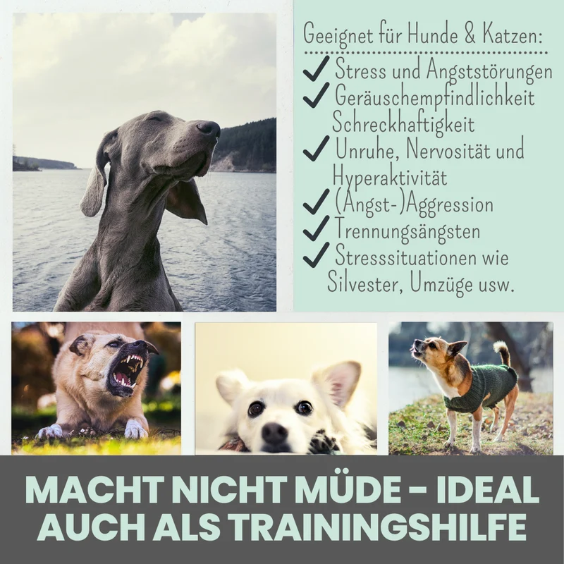 Wohlfühlmix für Hunde und Katzen – mit Baldrian, Passionsblume & Johanniskraut