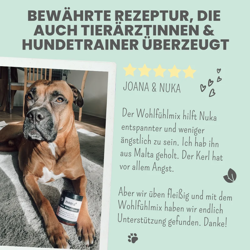 Wohlfühlmix für Hunde und Katzen – mit Baldrian, Passionsblume & Johanniskraut