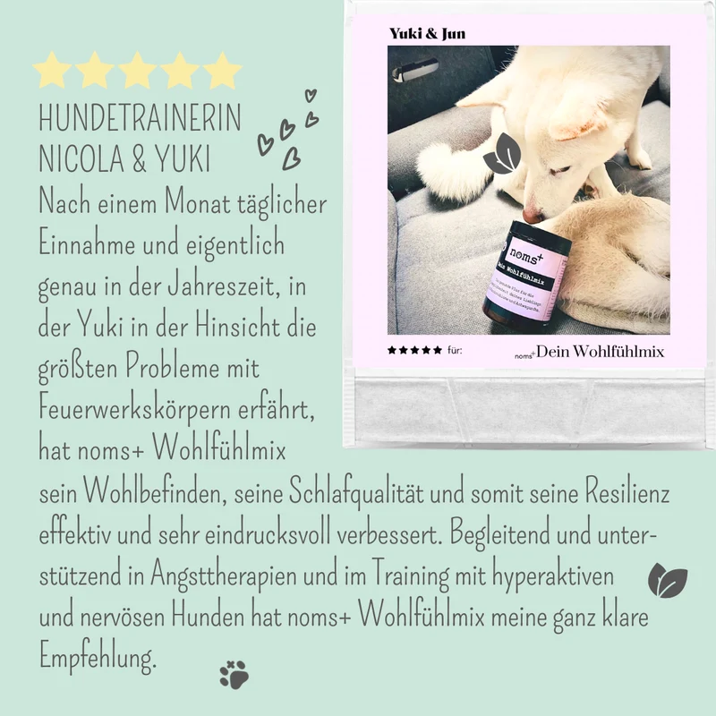 Wohlfühlmix für Hunde und Katzen – mit Baldrian, Passionsblume & Johanniskraut