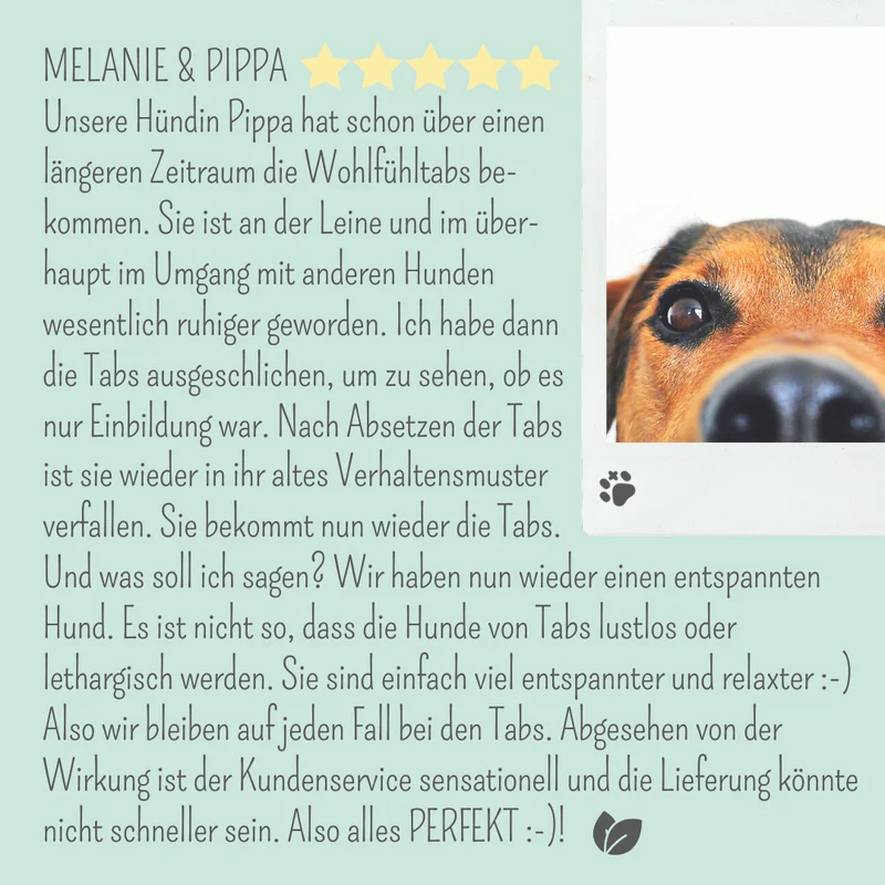 Wohlfühlmix für Hunde und Katzen – mit Baldrian, Passionsblume & Johanniskraut